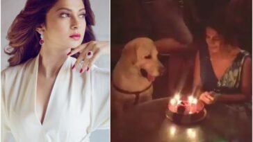 jennifer winget