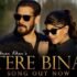 tere bina video song